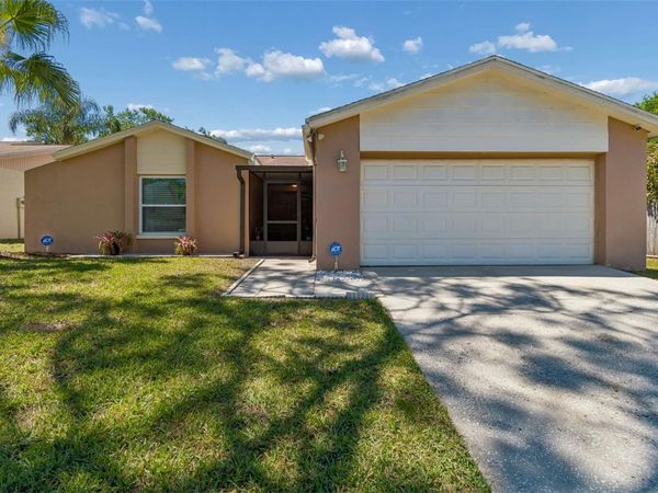 14827 OAK VINE DRIVE , LUTZ, FL 33559