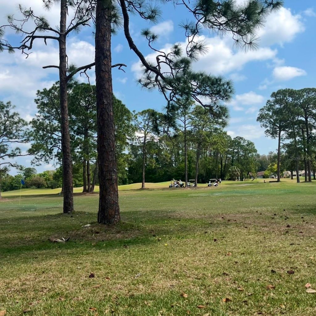 11718 Bayonet Lane, Unit A, New Port Richey, FL 34654 Photo