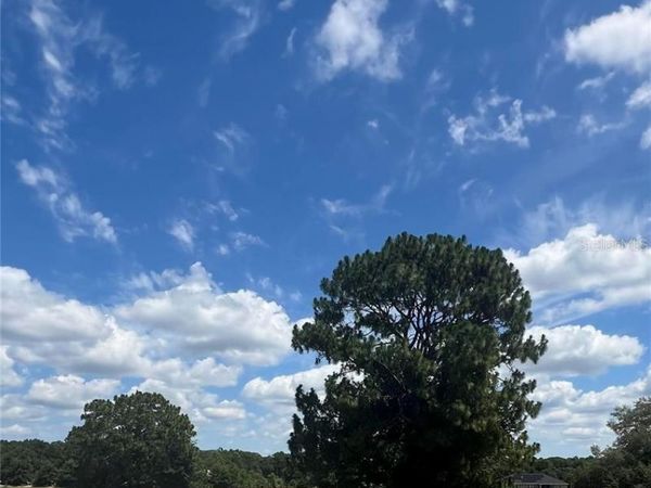 105 E SAMUEL COURT , HERNANDO, FL 34442