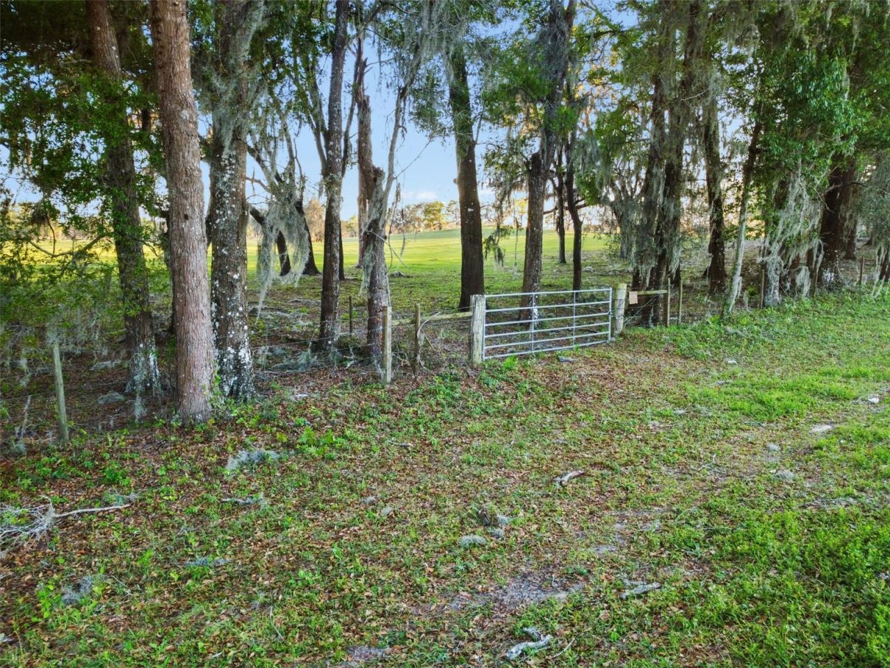 0 W Cr 476, Bushnell, FL 33513 Photo