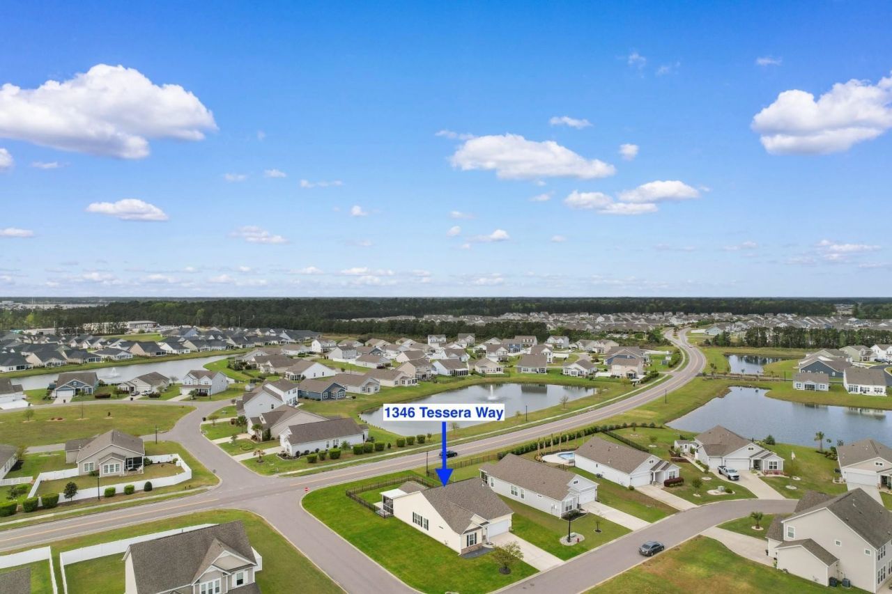 1346 Tessera Way  Photo 30