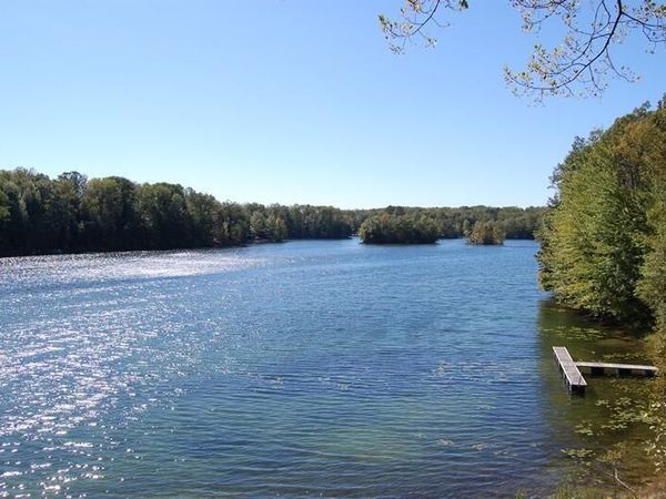 8986 N Royal Road, Unit 46, Canadian Lakes, MI 49346