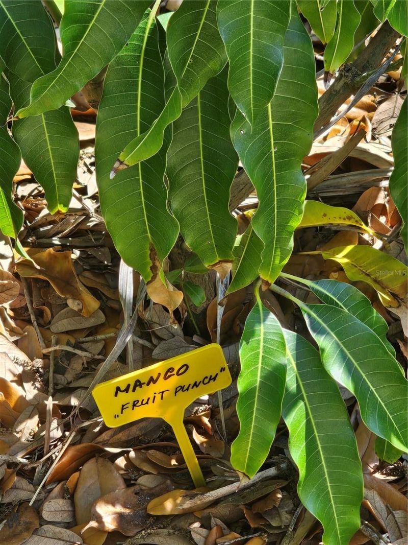 2303 45th Street E, Bradenton, FL 34208 Photo