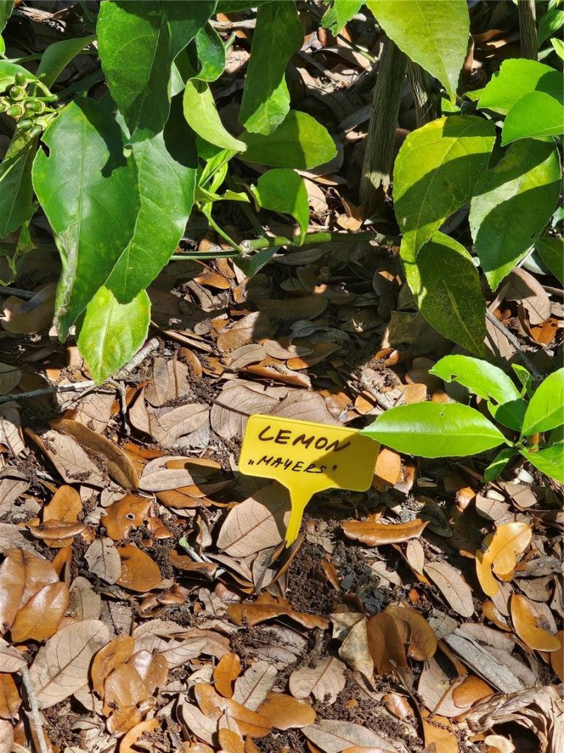 2303 45th Street E, Bradenton, FL 34208 Photo