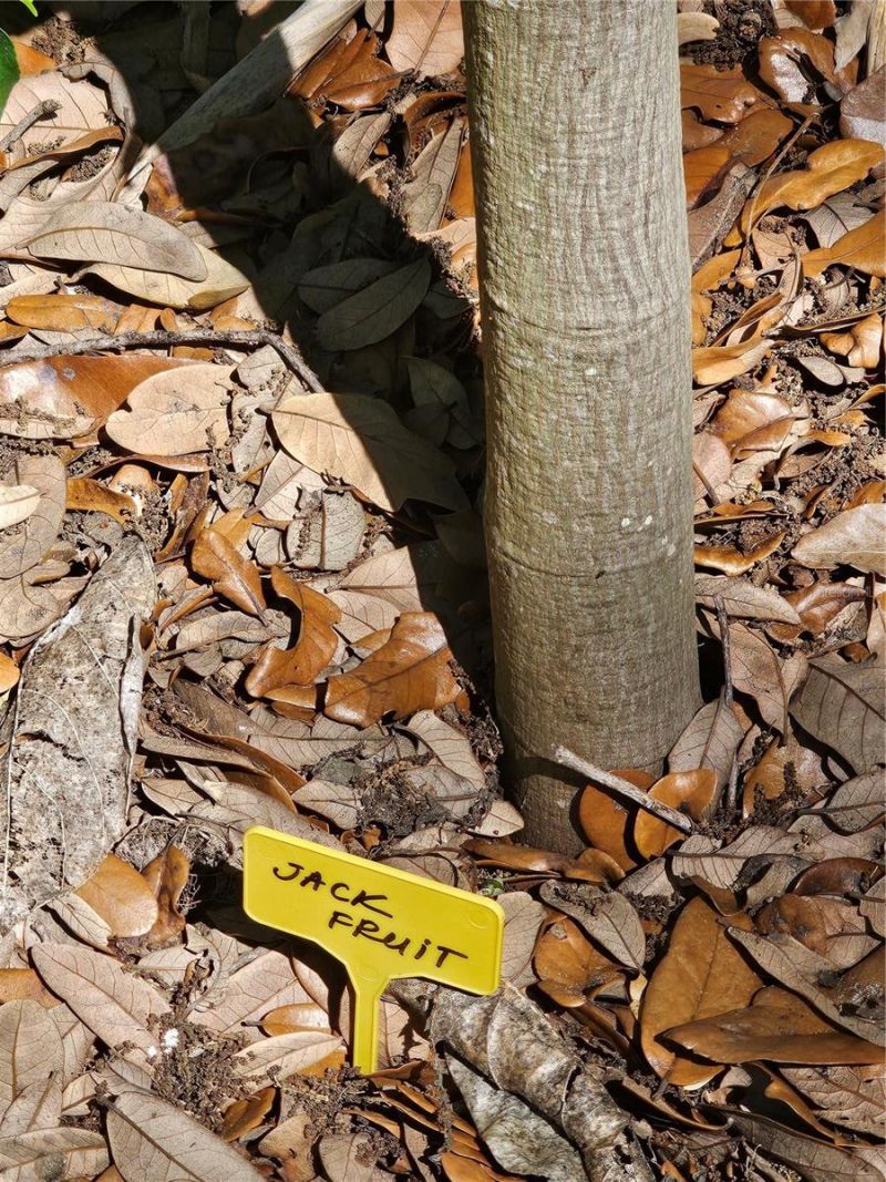 2303 45th Street E, Bradenton, FL 34208 Photo