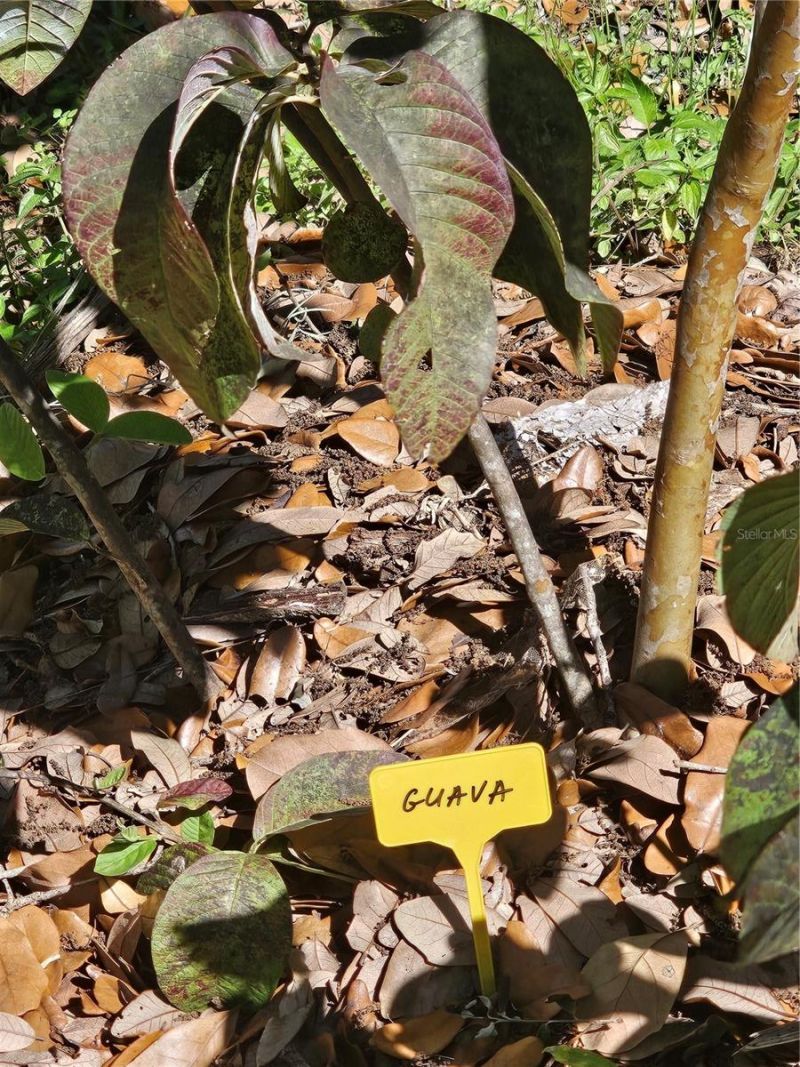 2303 45th Street E, Bradenton, FL 34208 Photo