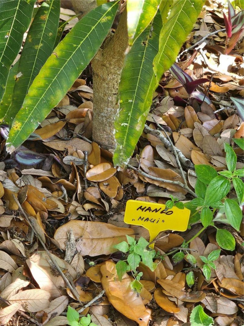 2303 45th Street E, Bradenton, FL 34208 Photo