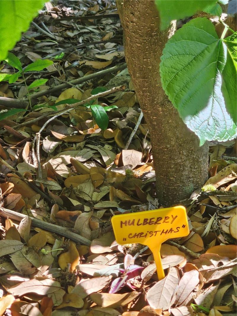 2303 45th Street E, Bradenton, FL 34208 Photo