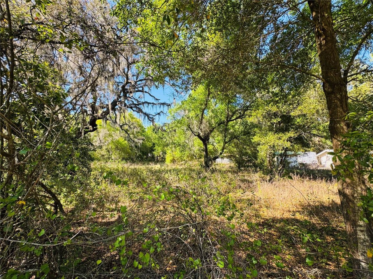 11340 Bessie Dix Road , Seffner, FL 33584 Photo