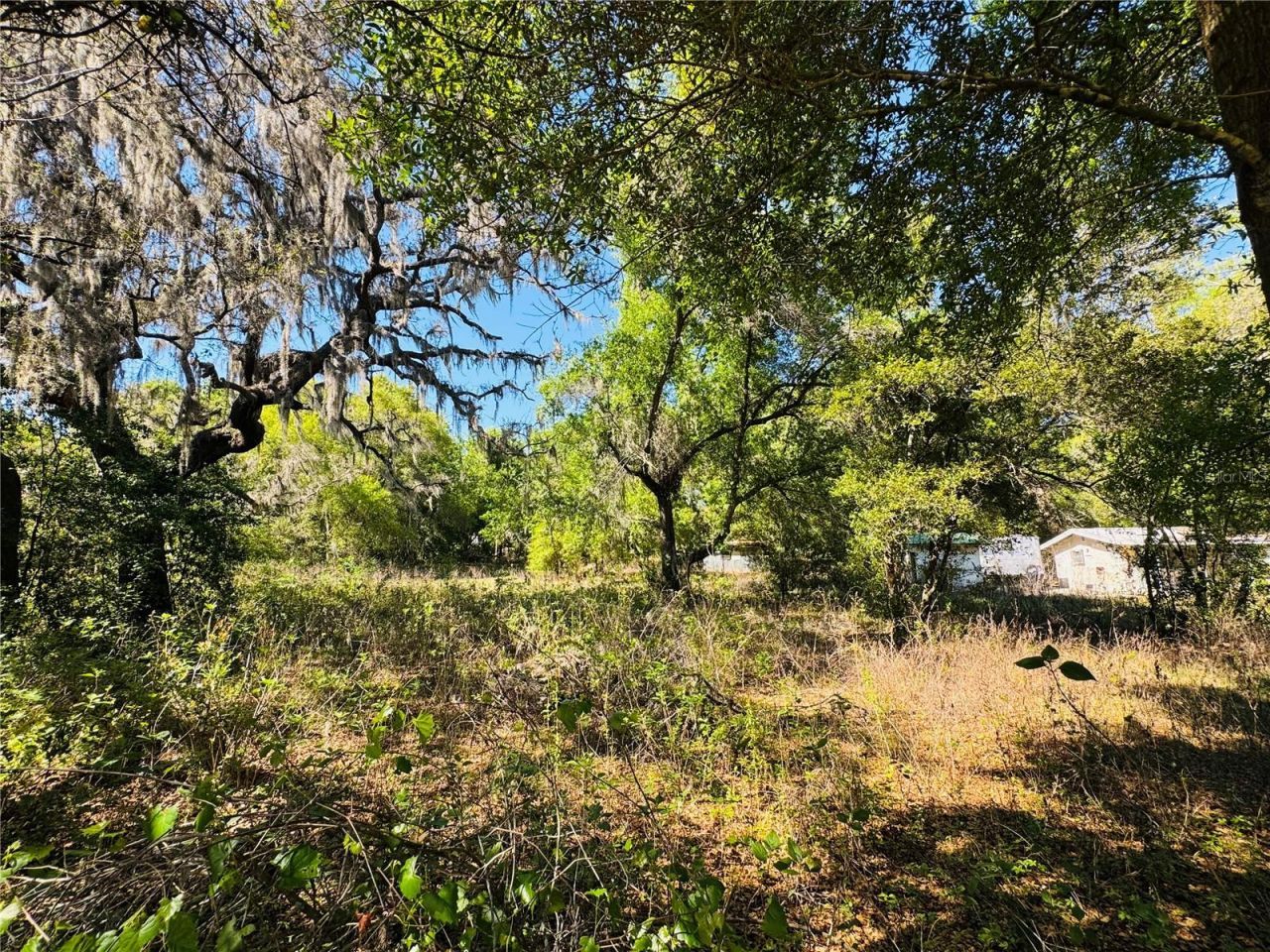 11340 Bessie Dix Road , Seffner, FL 33584 Photo