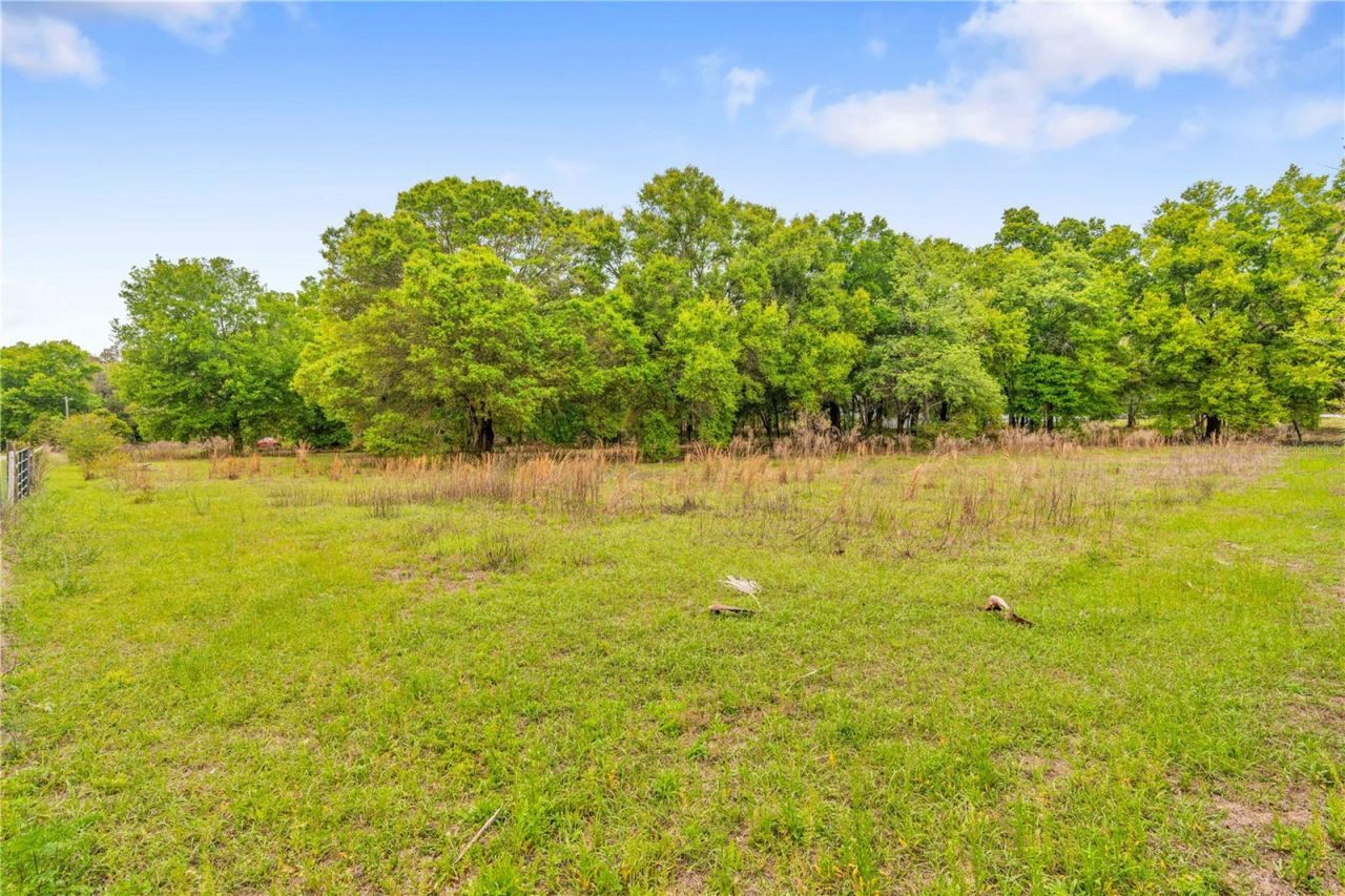 11340 Bessie Dix Road , Seffner, FL 33584 Photo