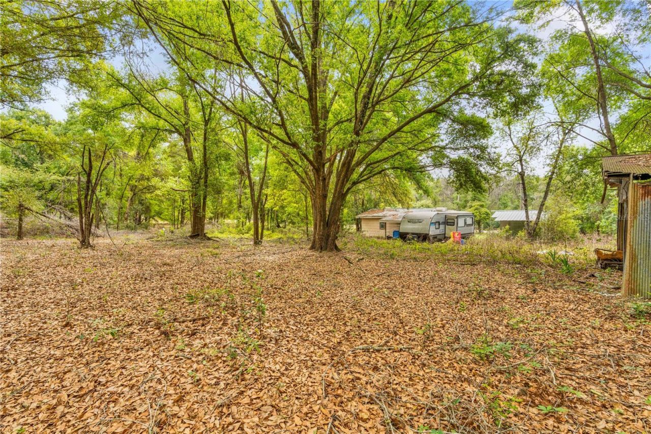 11340 Bessie Dix Road , Seffner, FL 33584 Photo