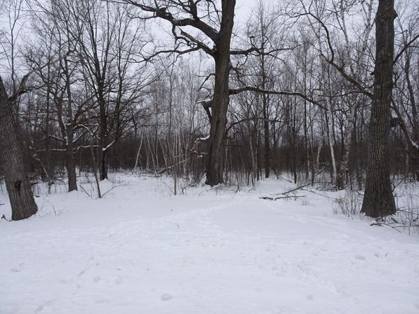 XXX 150th Street , Milltown, WI 54858