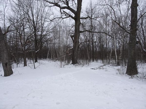 XXX 150th Street, Milltown, WI 54858