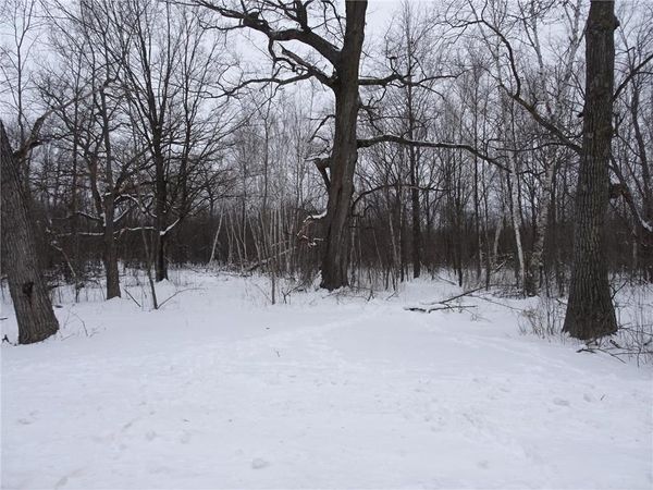 XXX 150th Street, Milltown, WI 54858