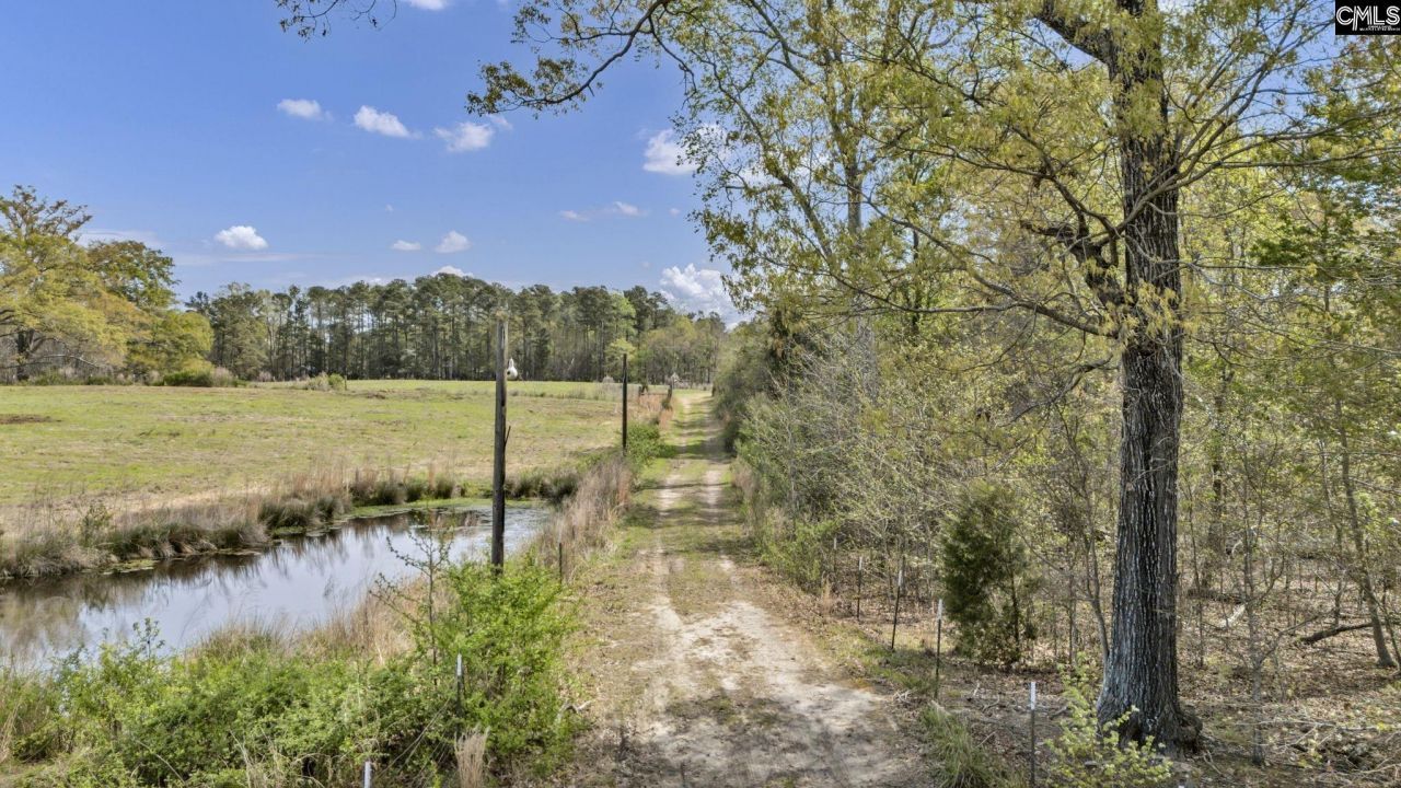 421 & 0 Shore Road  Photo 11