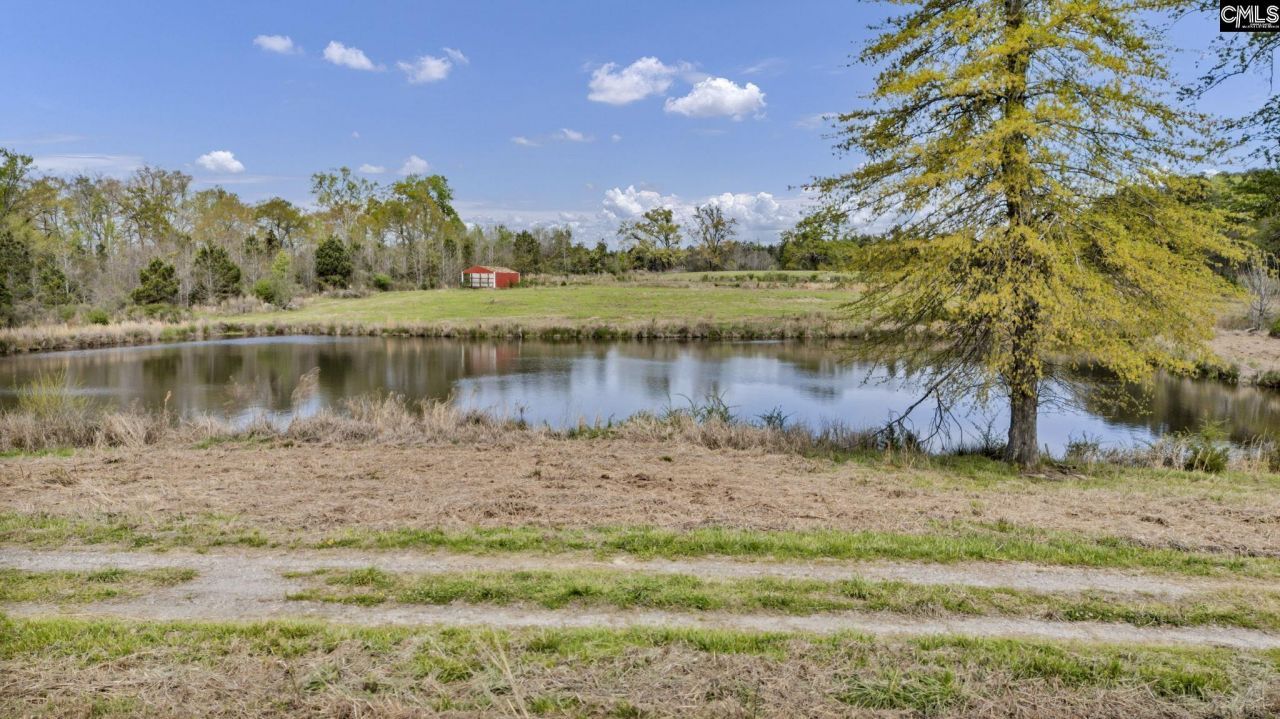 421 & 0 Shore Road  Photo 16