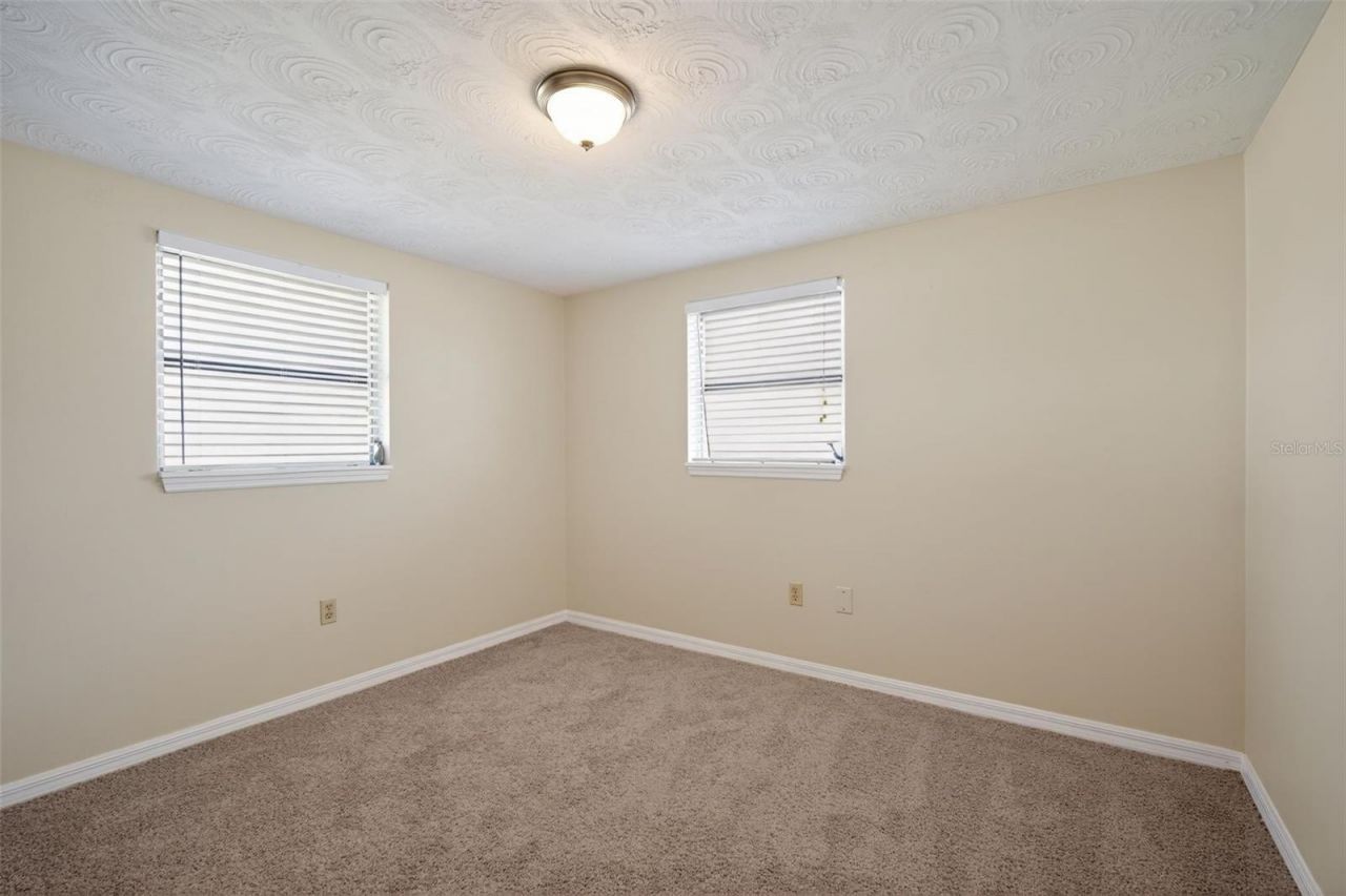 3537 Seffner Drive, Holiday, FL 34691 Photo