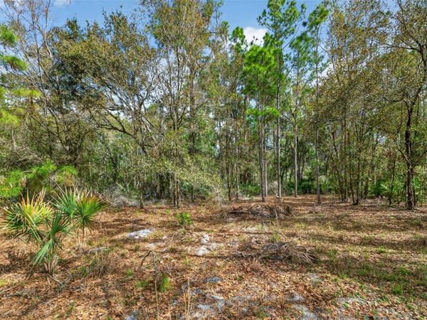 11803 DOG HOLLOW LANE , LITHIA, FL 33547