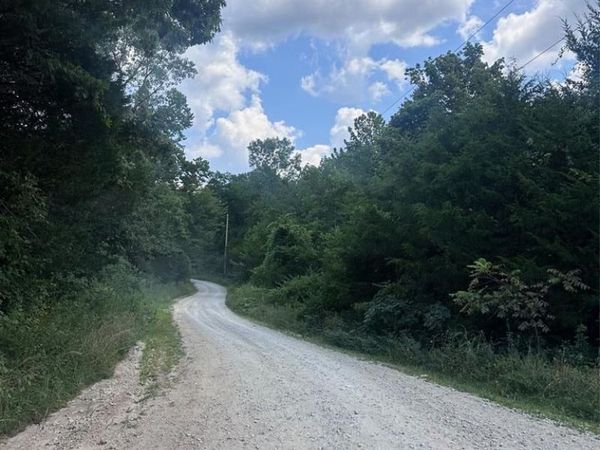 515 Lake Cove Trail , De Soto, MO 63020