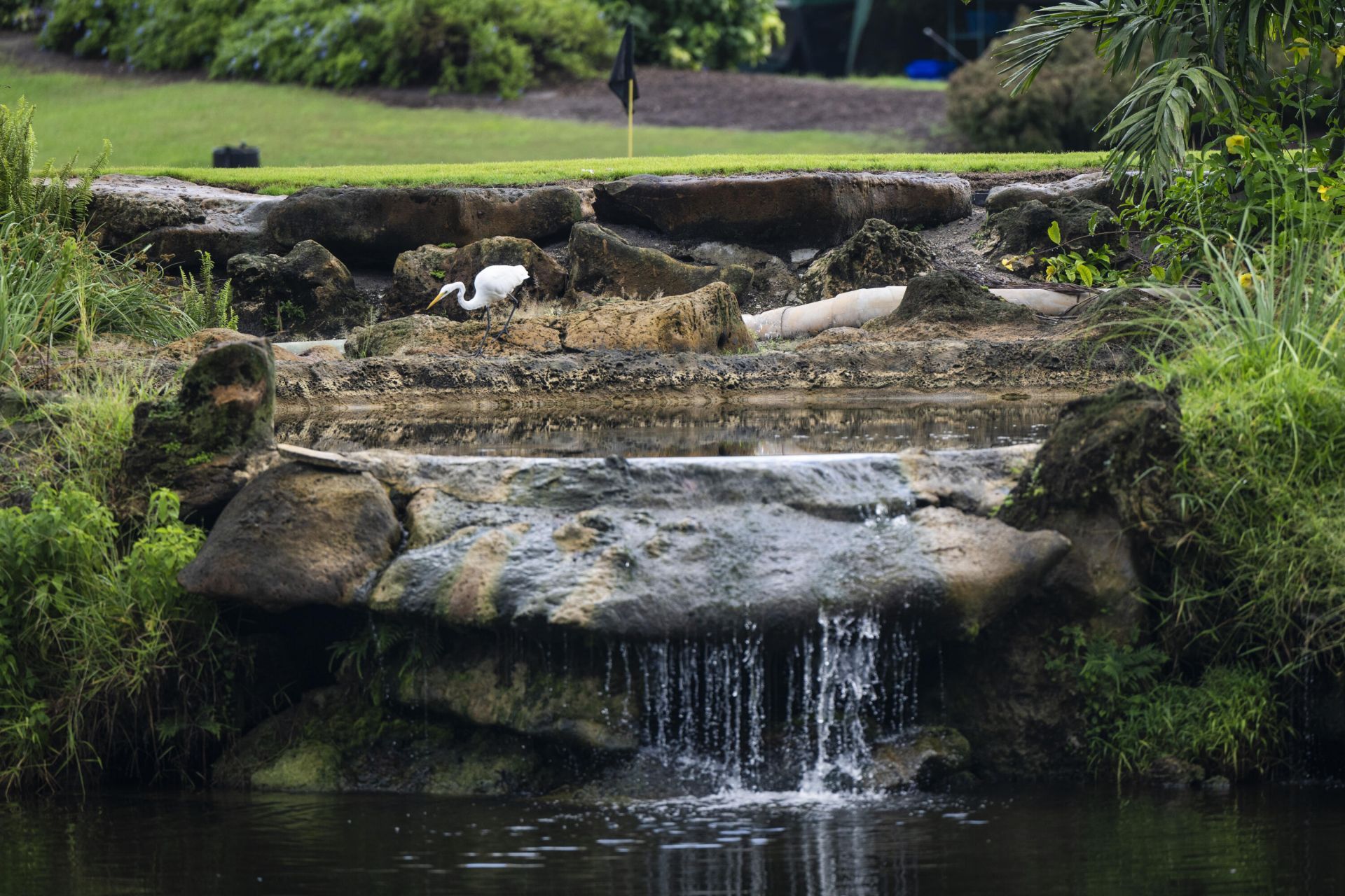 1832 Bridgewood Drive, Boca Raton, FL 33434 Photo