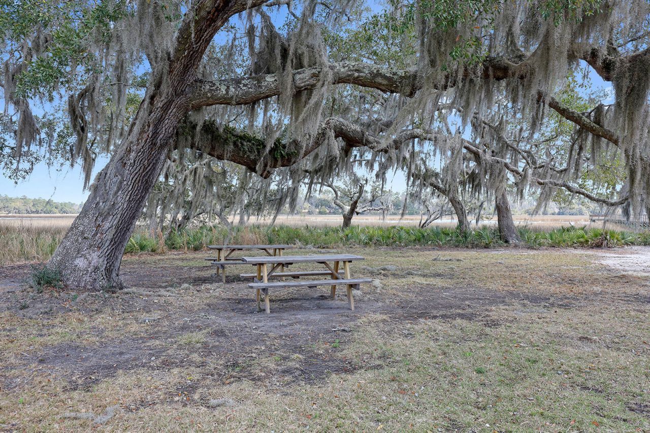 184 Twickenham Loop Photo 46