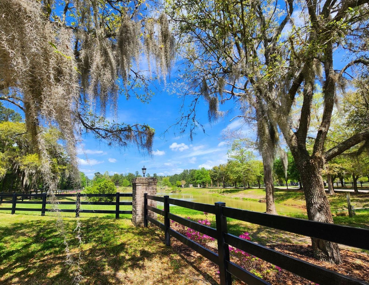 184 Twickenham Loop Photo 55