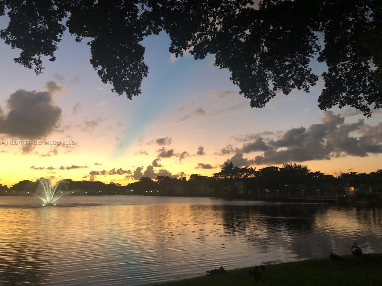 516 Briarwood Cir , Unit 1-51, Hollywood, FL 33024 Photo