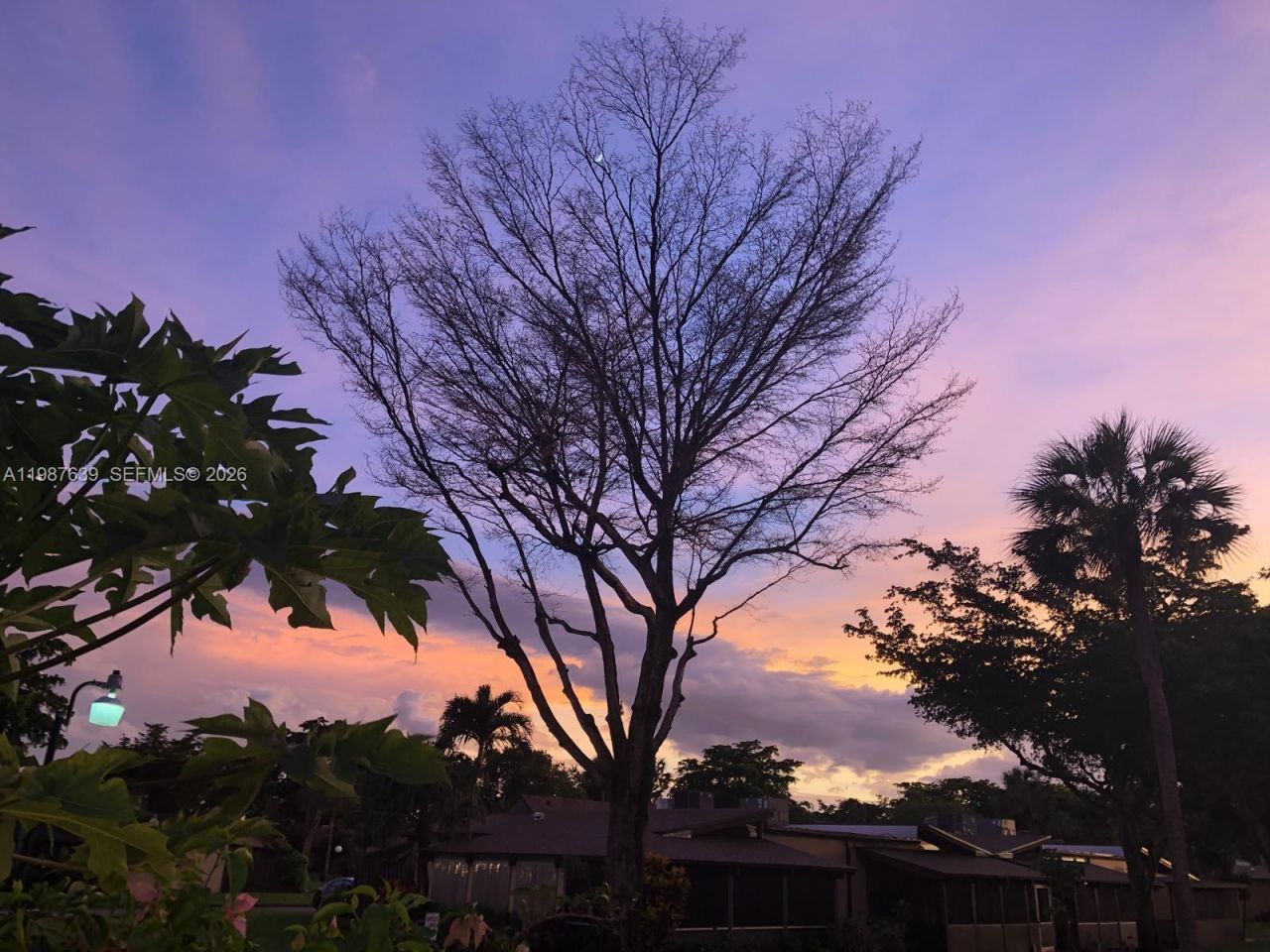 516 Briarwood Cir , Unit 1-51, Hollywood, FL 33024 Photo