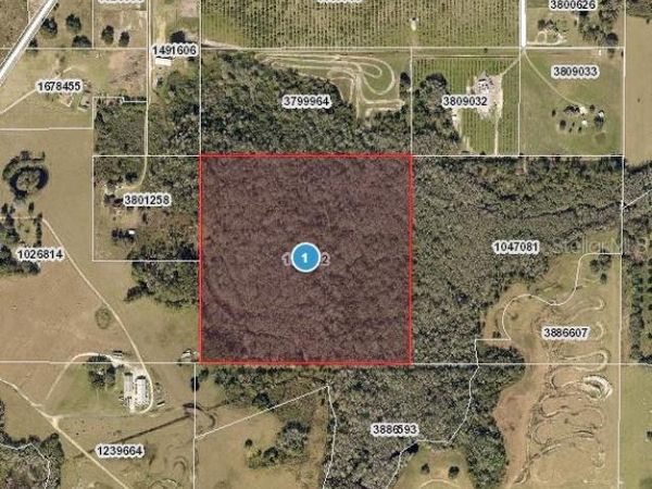 HIDDEN GROVE ROAD, CLERMONT, FL 34711