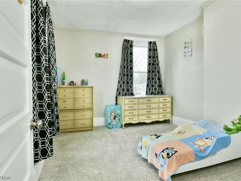 163 N Chestnut Avenue, Niles, OH 44446 Photo 28