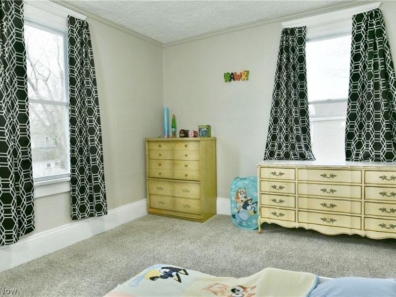 163 N Chestnut Avenue, Niles, OH 44446 Photo 29