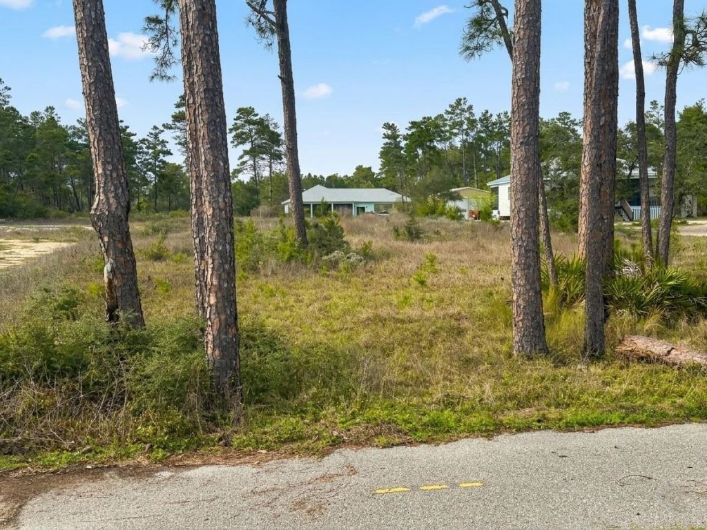 1905 Highway 98 West, Carrabelle, FL 32322 Photo