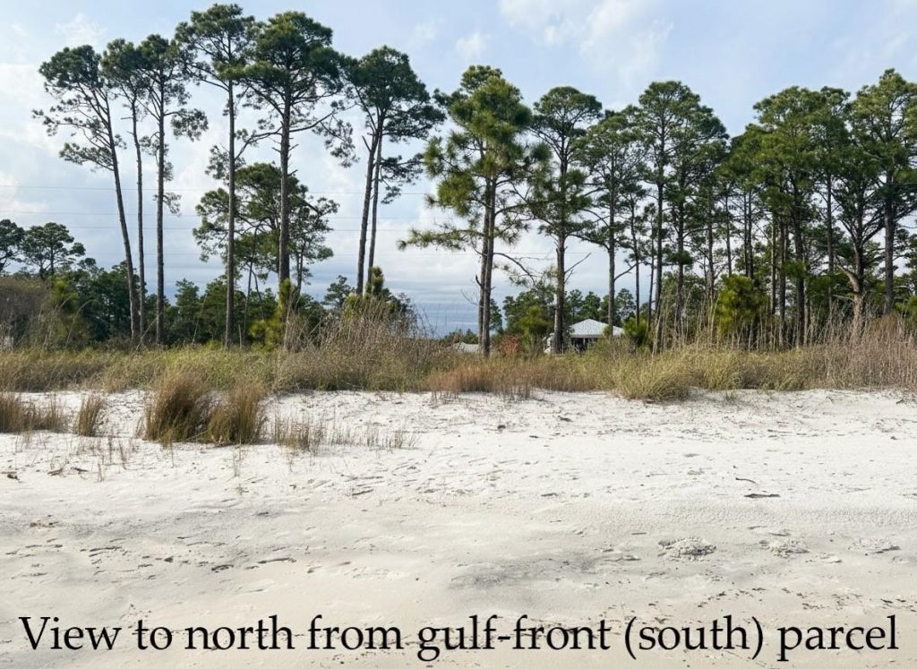 1905 Highway 98 West, Carrabelle, FL 32322 Photo