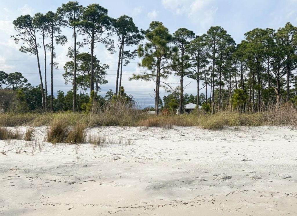 1905 Highway 98 West, Carrabelle, FL 32322 Photo