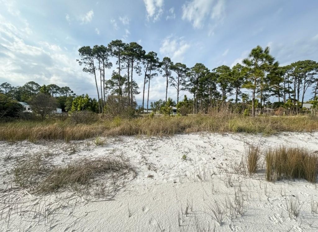 1905 Highway 98 West, Carrabelle, FL 32322 Photo
