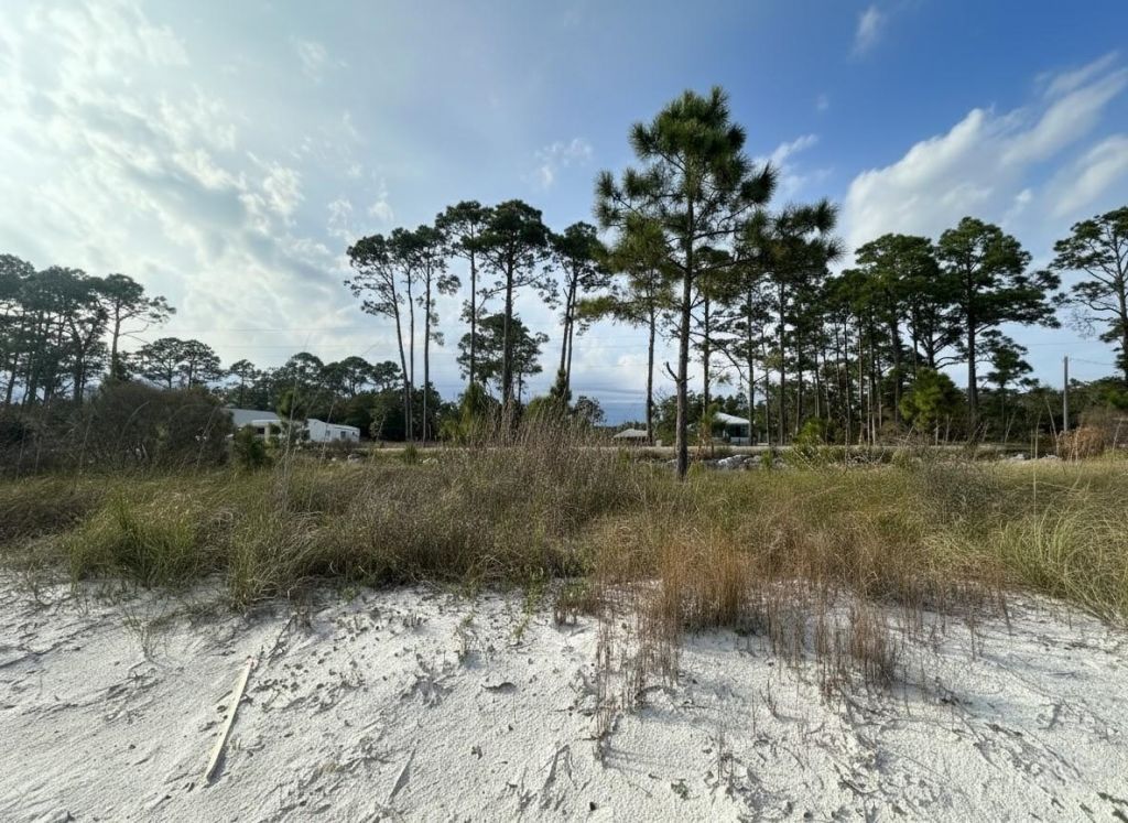 1905 Highway 98 West, Carrabelle, FL 32322 Photo