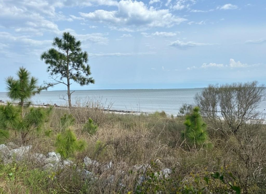 1905 Highway 98 West, Carrabelle, FL 32322 Photo