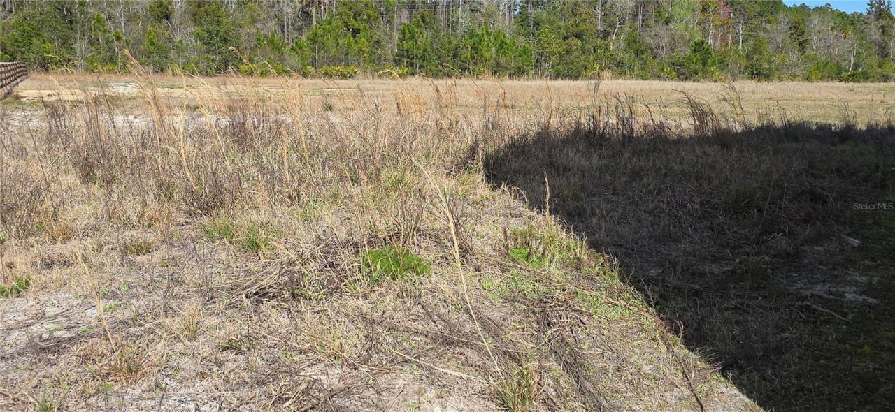 110 Opossum Lane, Bunnell, FL 32110 Photo