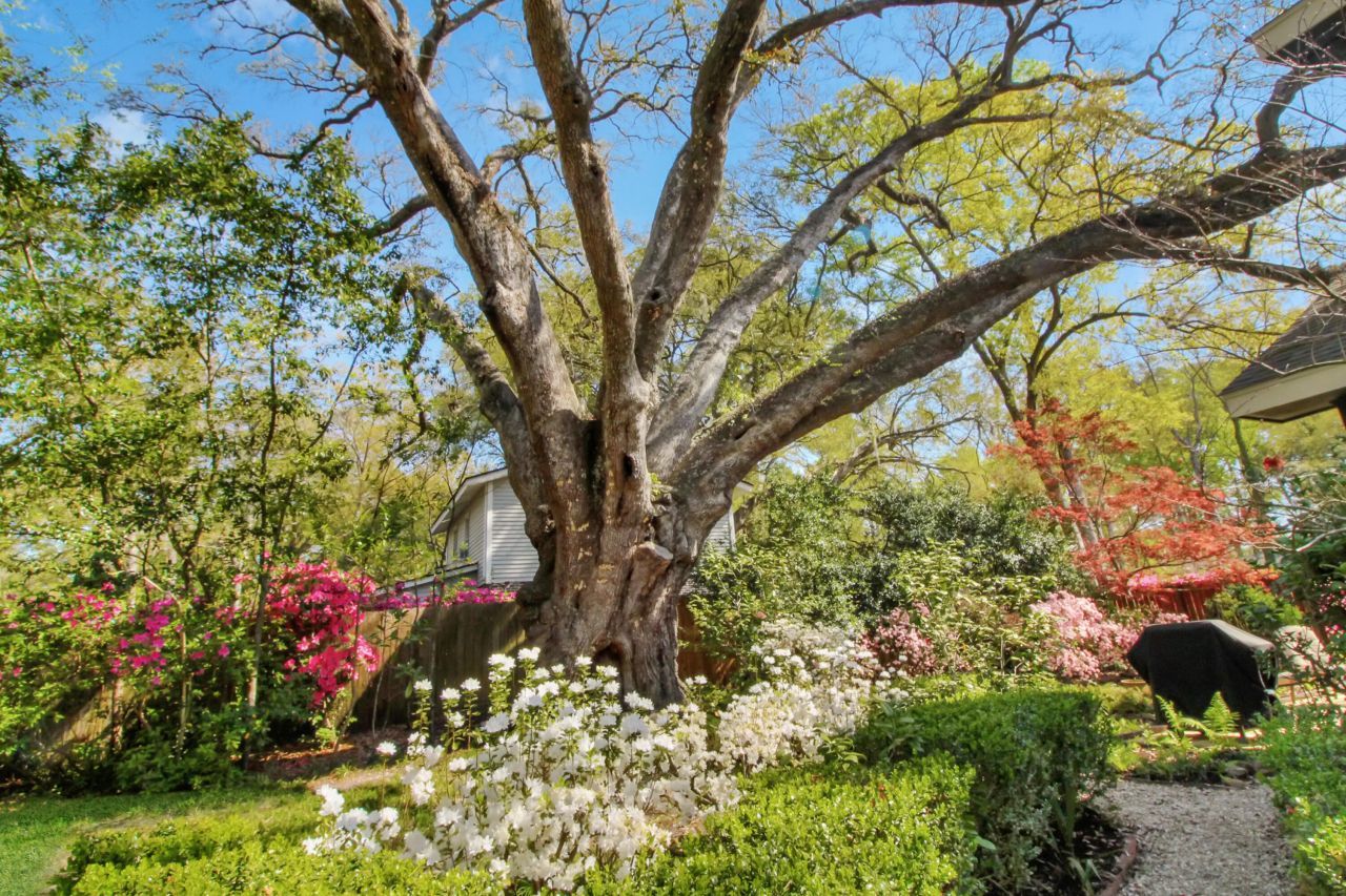 103 Quail Lane Photo 48