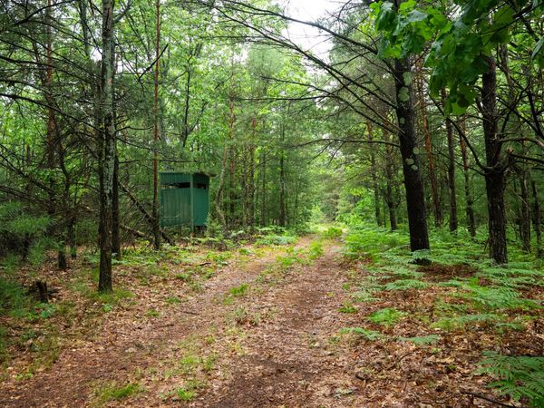 V/L 8.09A N Centerline Road, White Cloud, MI 49349