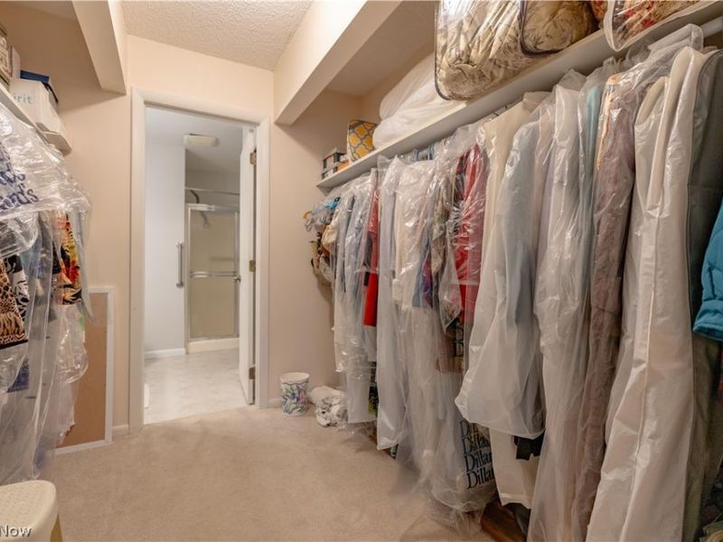 585 Hampton Ridge Drive, Akron, OH 44313 Photo 21