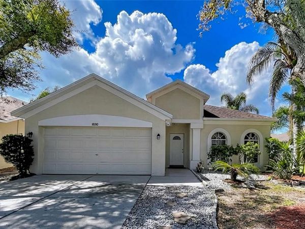 10310 BIRDWATCH DRIVE, TAMPA, FL 33647
