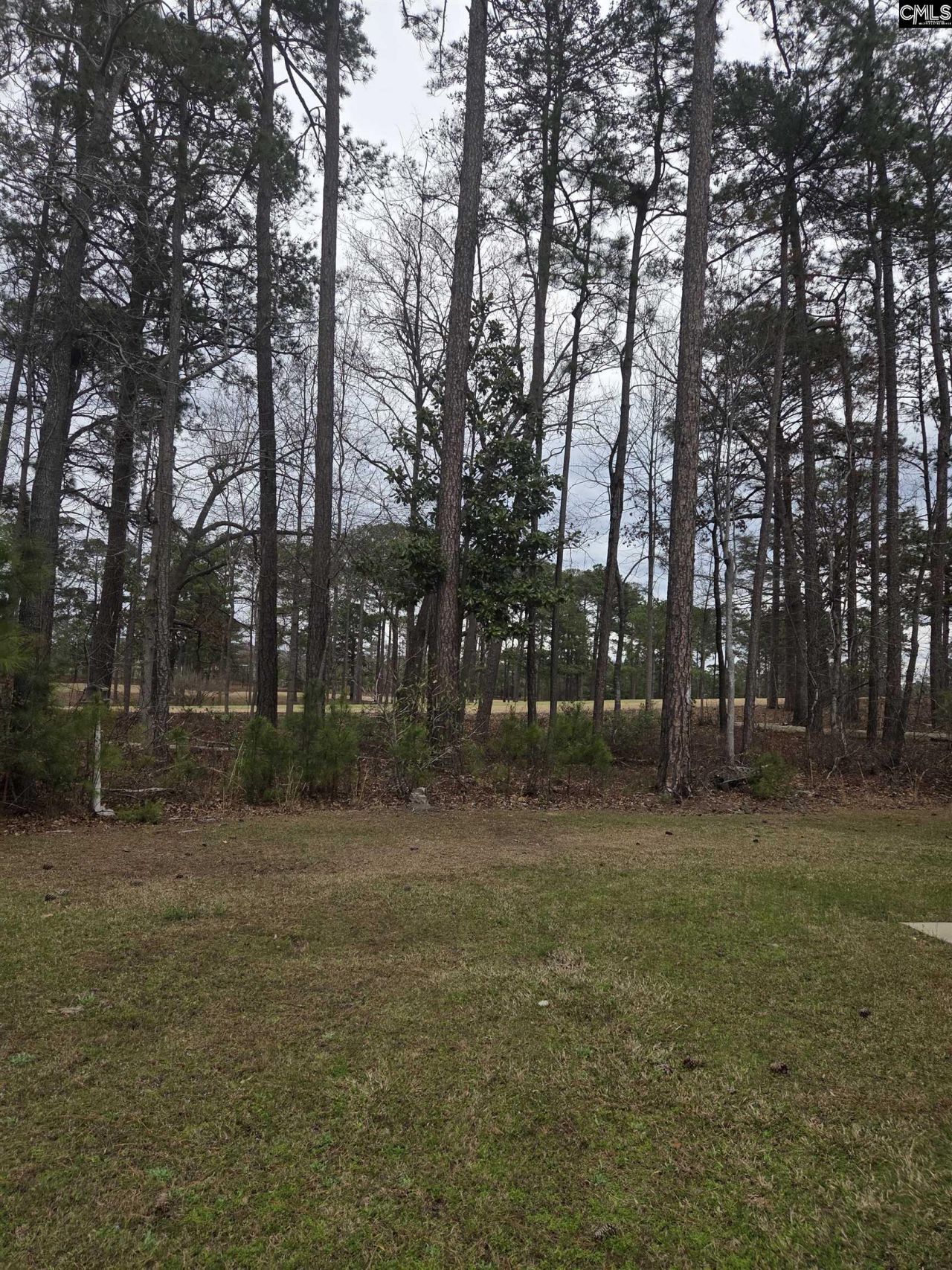 765 Club Cottage Drive  Photo 11