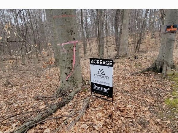 8572 Anchor Drive, Delton, MI 49046