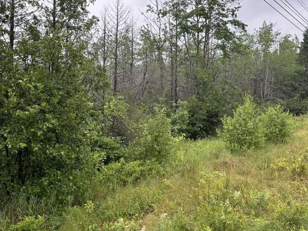 Lot 60 Tenan Lane , Cherryfield, ME 04622