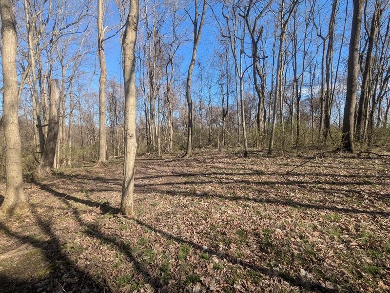 4257 Egypt Pike , Chillicothe, OH 45601 Photo 5