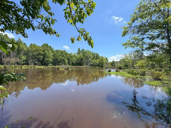 3114 Cr 212, Water Valley, MS 38965