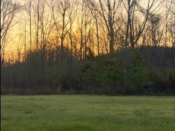 3114 Cr 212, Water Valley, MS 38965