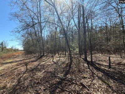 BHL 12 Boise Cascade Road, Bethune, SC 29009